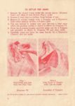 thumbs_1_thumbs_Mummy-Instructions-Red-Page2-107x150